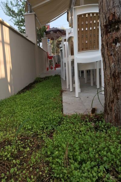 Vira Hotel Dalyan Eksteriør bilde